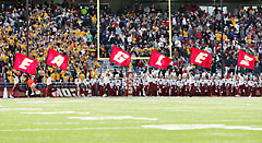 Fabric Boston College E-A-G-L-E-S spirit flags