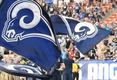 Hand sewn Rams football flags for cheerleading