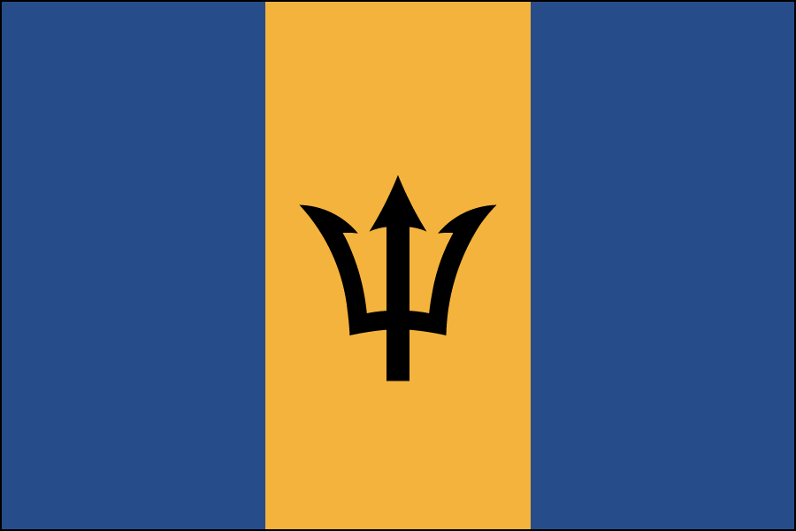 Nylon Barbados Flag