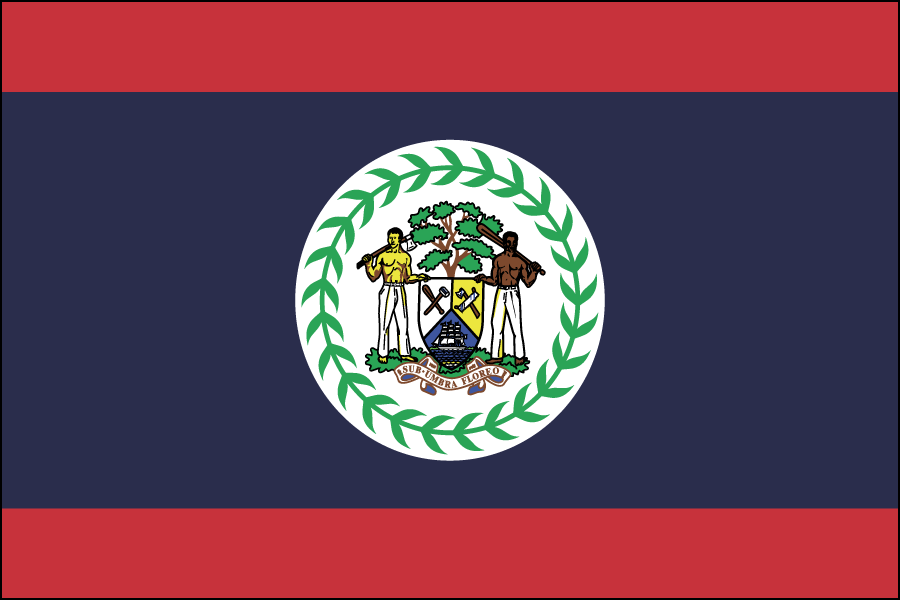 Nylon Belize Flag