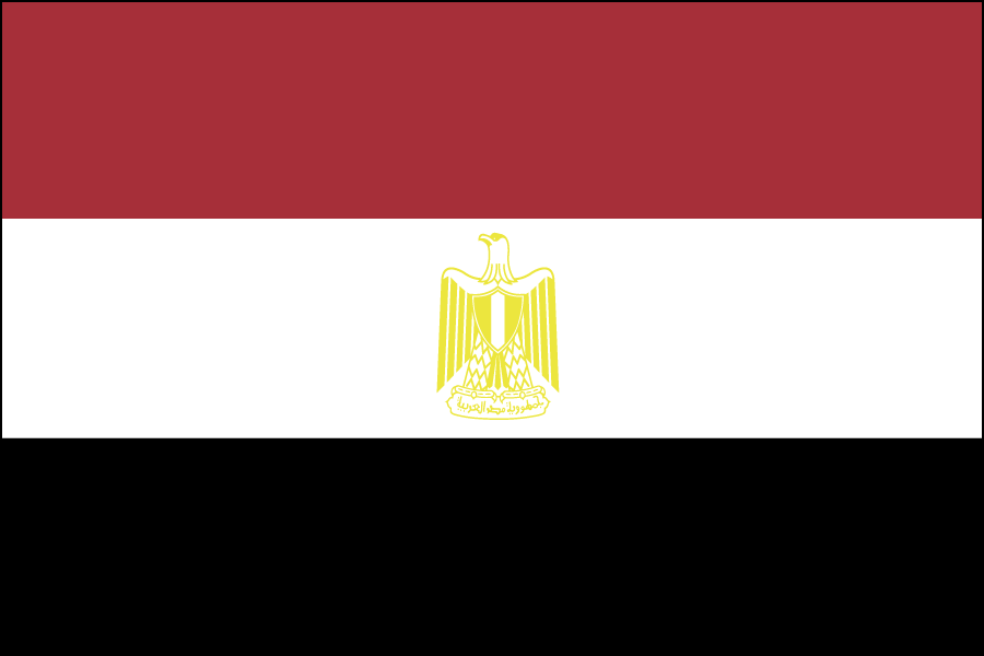 Nylon Egypt Flag