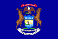 Nylon Michigan State Flag