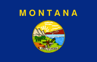 Nylon Montana State Flag