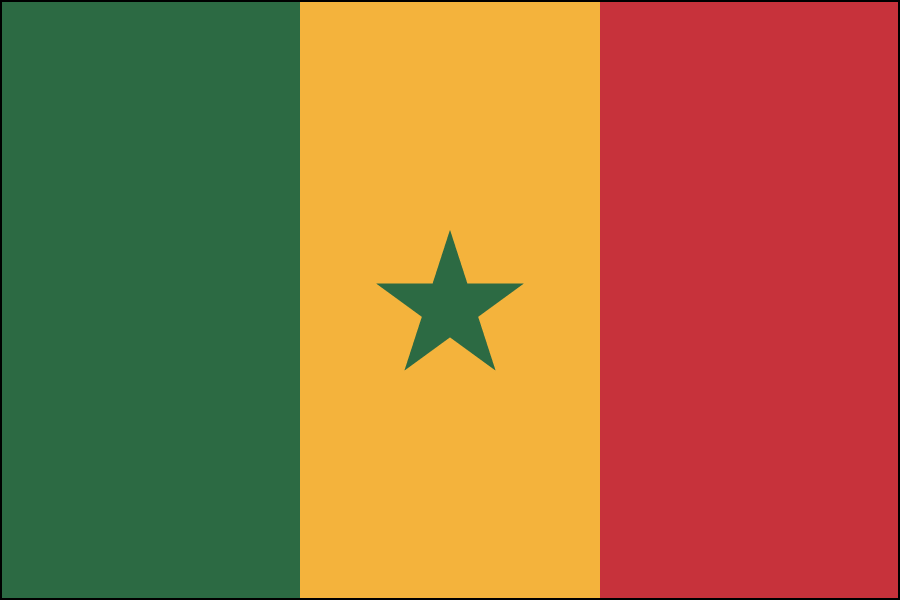 Nylon Senegal Flag