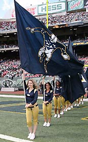 Tennessee Titans logo and letter cheerleading flags