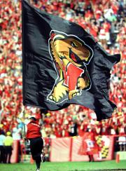 maryland terps logo spirit flag