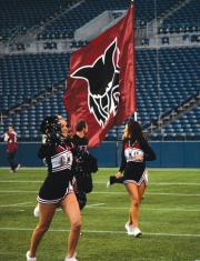 Battle flag for football