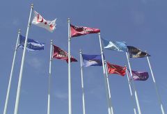 Applique Conference flags for Brandeis University