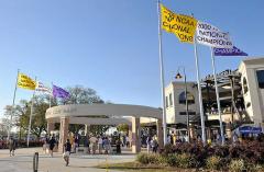 Applique LSU Championship Flags