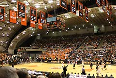 princeton university basketball banners