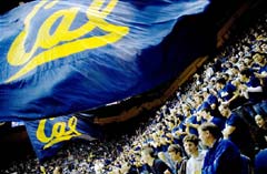 'Cal' spirit flags for UC Berkeley