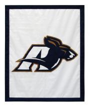 akron logo flag