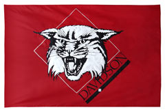 Davidson applique cheer flag