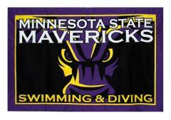 minnesota mavericks travel logo banner