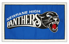 Panthers custom logo banner