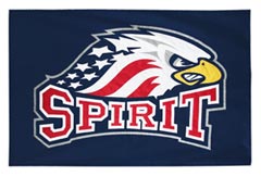 Spirit custom battle flag