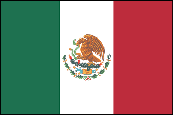 Nylon Mexico Flag