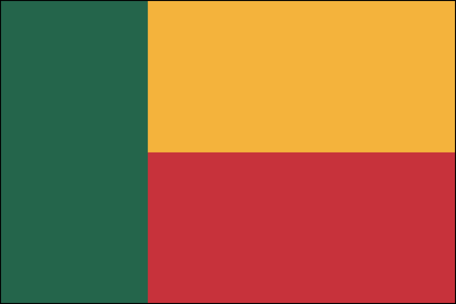 Nylon Benin Flag