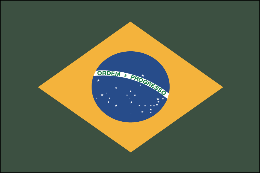 Nylon Brazil Flag