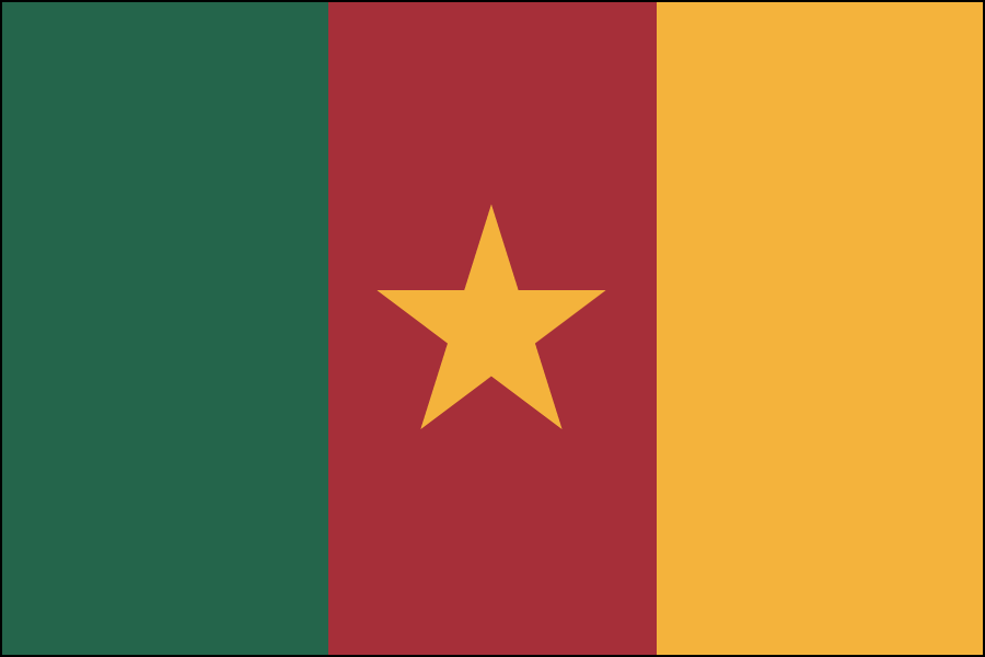 Nylon Cameroon Flag