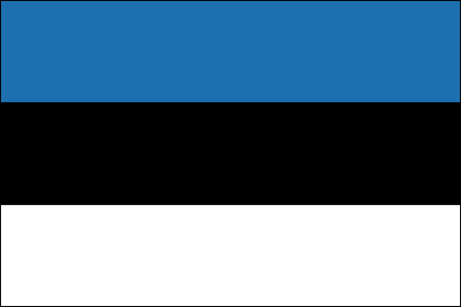 Nylon Estonia Flag