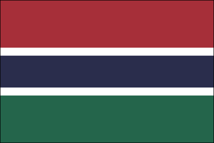 Nylon Gambia Flag