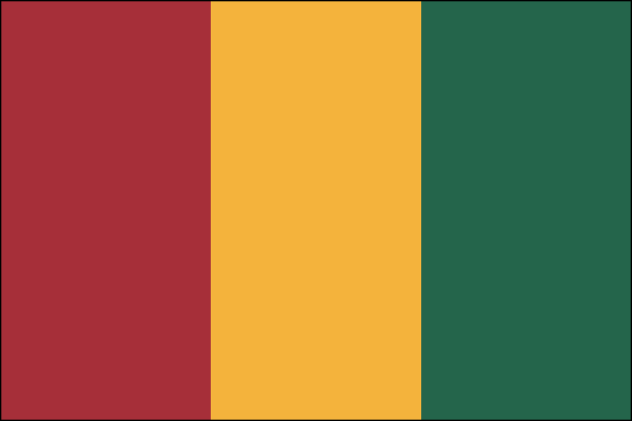 Nylon Guinea Flag