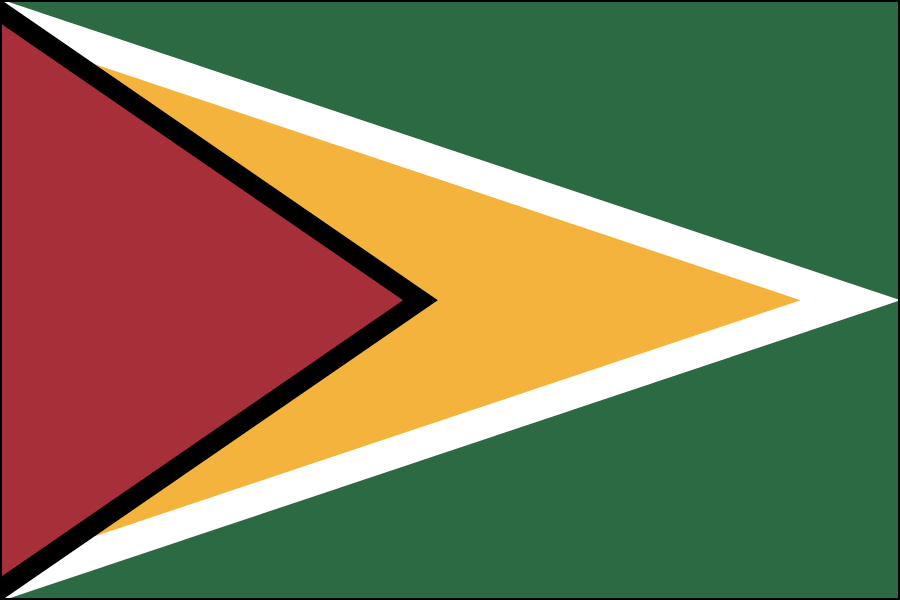 Nylon Guyana Flag