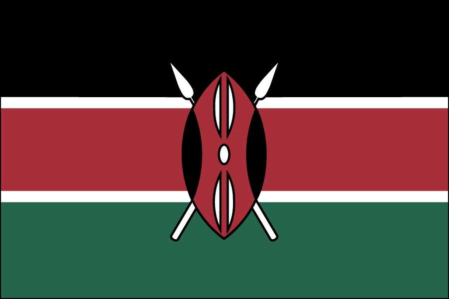 Nylon Kenya Flag