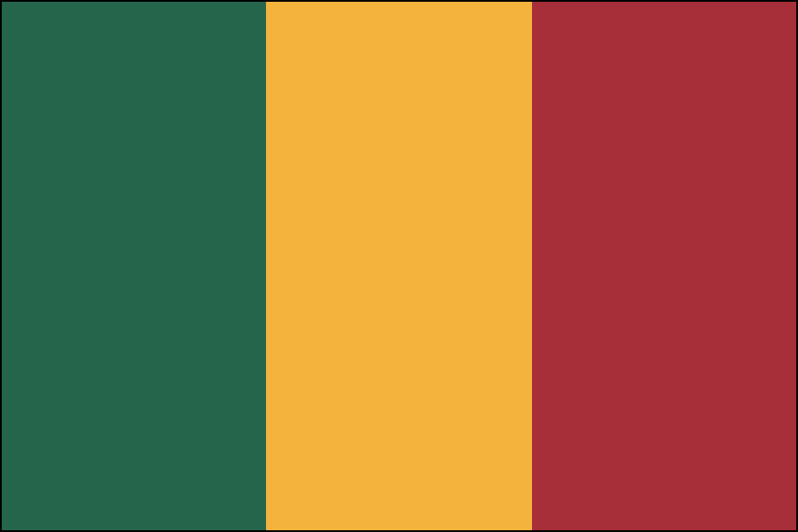 Nylon Mali Flag