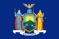 Nylon New York State Flag