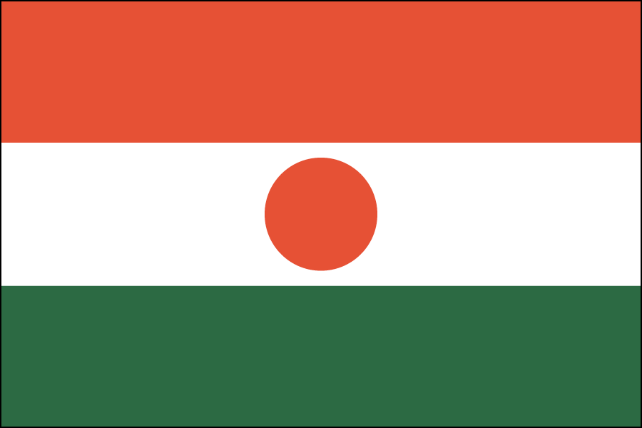 Nylon Niger Flag