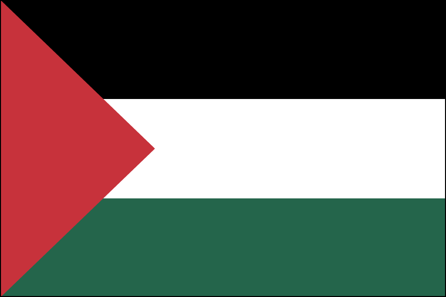 Nylon Palestine Flag