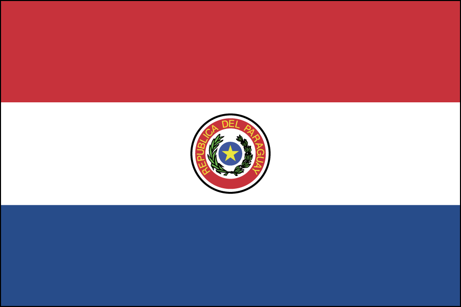 Nylon Paraguay Flag
