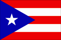 Nylon Puerto Rico Territory Flag