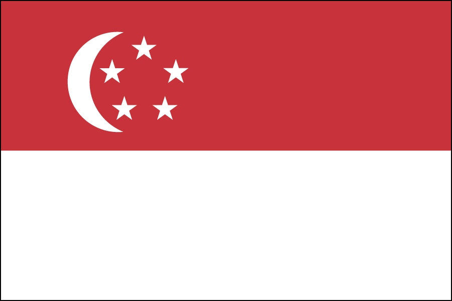 Nylon Singapore Flag