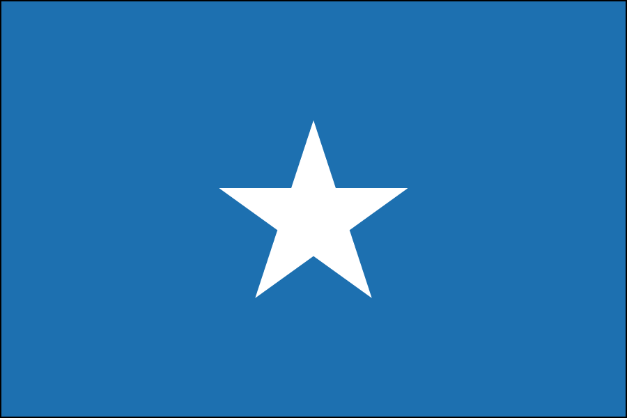 Nylon Somalia Flag