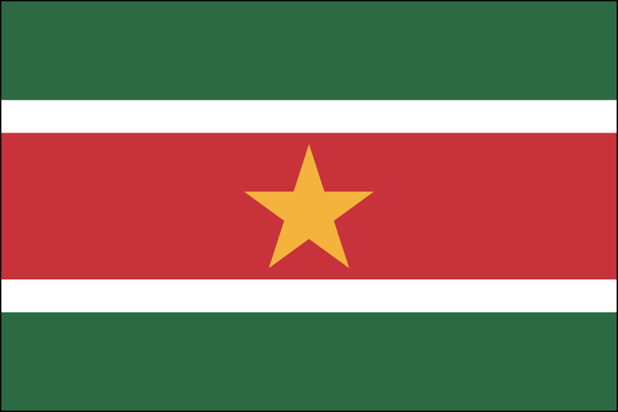 Nylon Suriname Flag