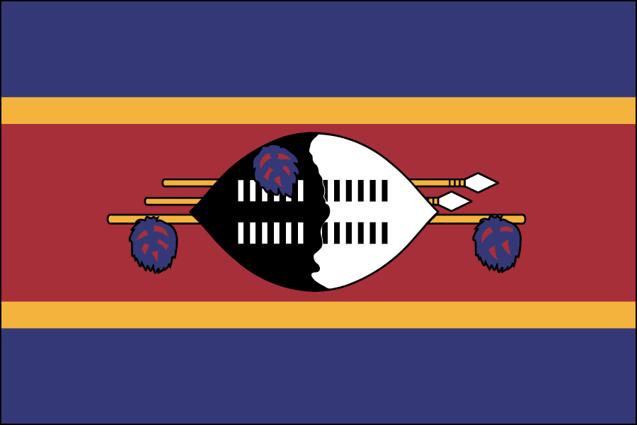 Nylon Swaziland Flag