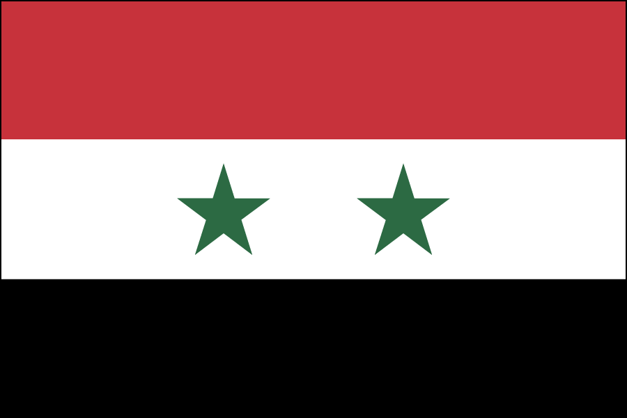 Nylon Syria Flag
