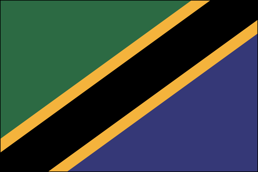 Nylon Tanzania Flag