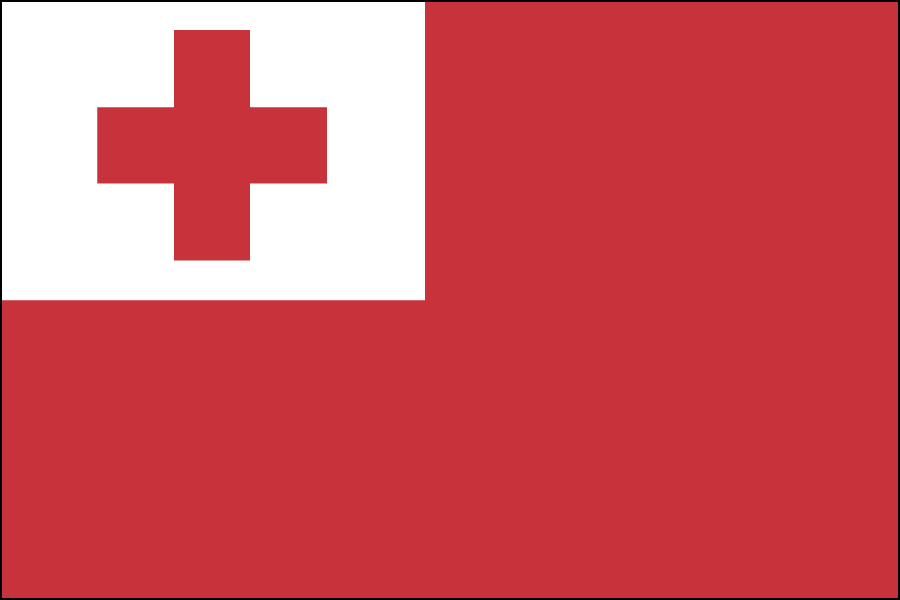Nylon Tonga Flag
