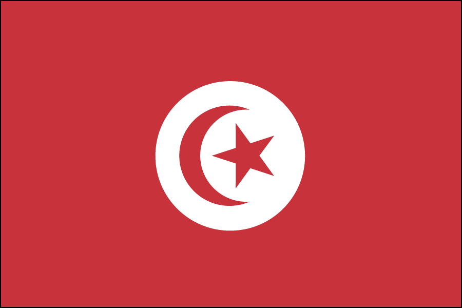 Nylon Tunisia Flag