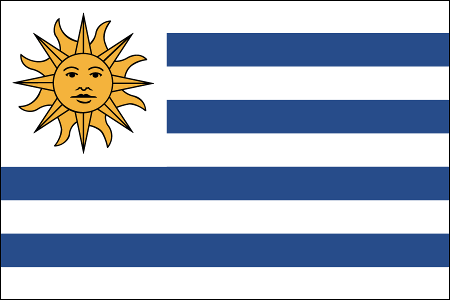 Nylon Uruguay Flag