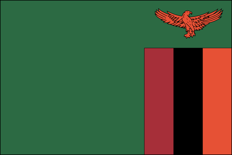 Nylon Zambia Flag